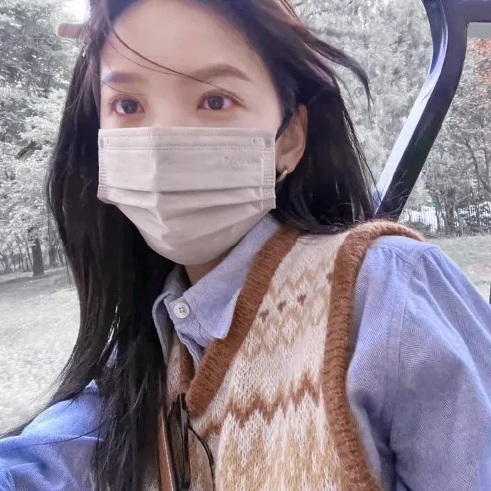 一鸣惊人之以梦为马